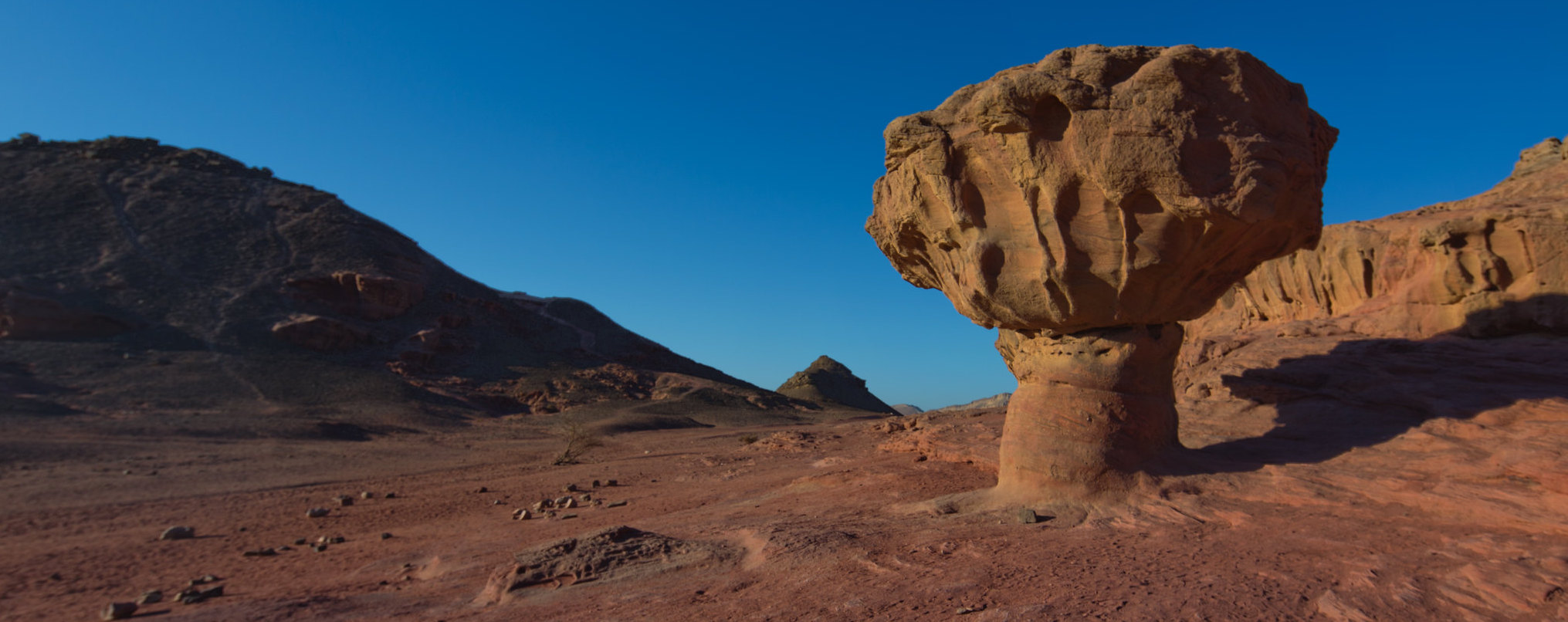 Classic Tour & Eilat (12 nights) - FRI DEPARTURE