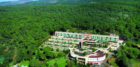 CARMEL FOREST SPA